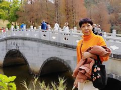 -云溪植物园