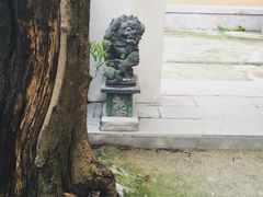 -金鸡山公园