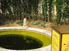 -大连金石滩绿发温泉假日酒店