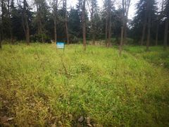 -呼吸森林·生态农庄农家乐私房菜