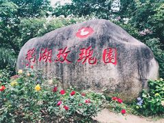 -鹅湖玫瑰文化园