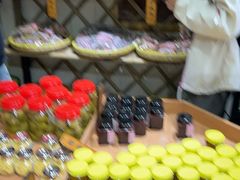 -苏州市吴中区光福窑上花果蜜饯厂