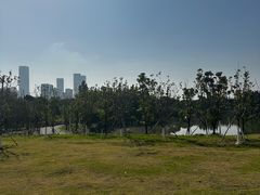 -艾溪湖湿地公园
