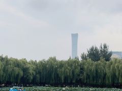 -团结湖公园