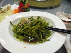 -金星大酒店(东街店)