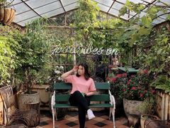 -The Grounds of Alexandria