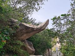 -北京凤凰岭