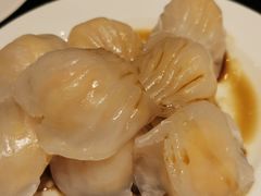 -上海大宁福朋喜来登酒店大堂吧(共和新路店)