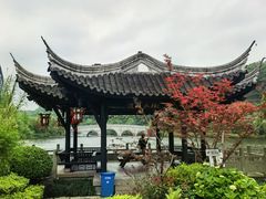 -重庆园博园