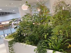 -大树餐厅(红旗街万达店)