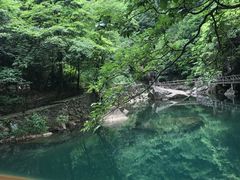 -白云源风景区