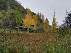 -贵阳市花溪国家城市湿地公园