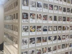 -御宝贝24h宠物医院·转诊中心·CT核磁血透中心(厦门总院)