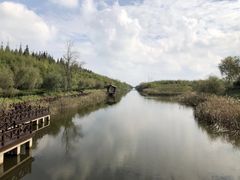 -黄海国家森林公园