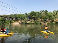 -东方巨龟苑景区