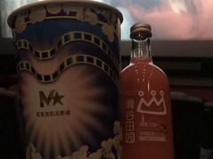 -红星电影世界上海张江绿地店