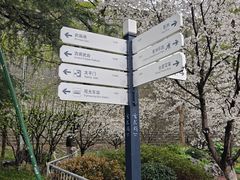 -南京城墙景区