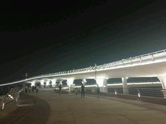 -演武大桥观景平台