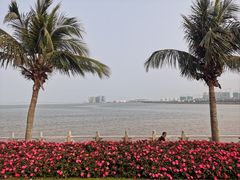-观澳平台