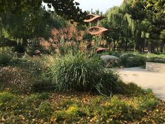 -石家庄市植物园