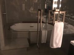 -上海柏悦酒店
