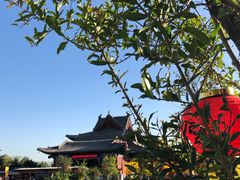 -大槐树寻根祭祖园