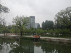 -大望京公园