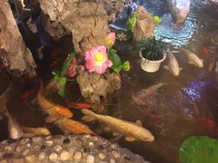 -多哥水傣味餐厅(司马巷店)