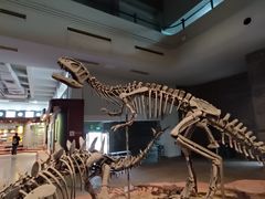 -自贡恐龙博物馆