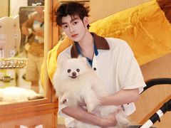 -帕帕拉兹宠物(亚洲旗舰店)