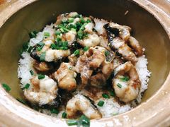 -红星光发煲仔饭(文海店)
