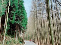 -山王坪喀斯特国家生态公园
