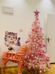 -Lab Season惜辰颜究社