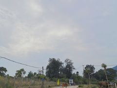 -大姆山草场