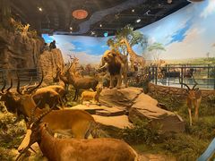 -陕西自然博物馆