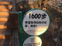 -大岭沟猕猴桃谷风景区