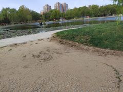 -太阳宫公园