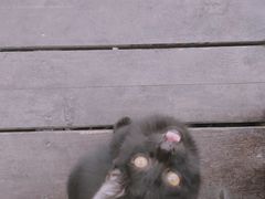 -荷风细雨·中国茶宴(碧云店)