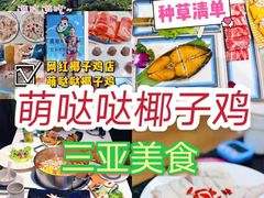 -亚龙湾热带天堂森林公园