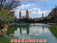 -三塔倒影公园