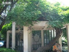 -上海戏剧学院附属高级中学
