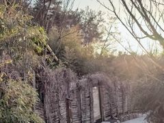 -麦积山温泉