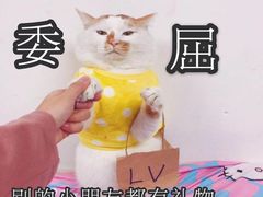 -红星光发煲仔饭(大石街店)
