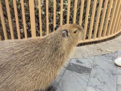 -济南野生动物世界