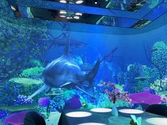 -海粤阁·精致粤菜·宴会厅(宝安店)