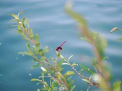 -楠溪江风景名胜区