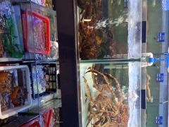 -天鹰观渔(梦园店)