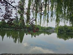 -鲁镇
