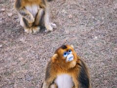 -济南野生动物世界