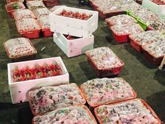 -菜园坝水果市场